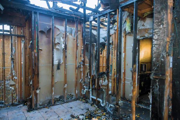 Professional Odor Removal technician working in The Colony, TX