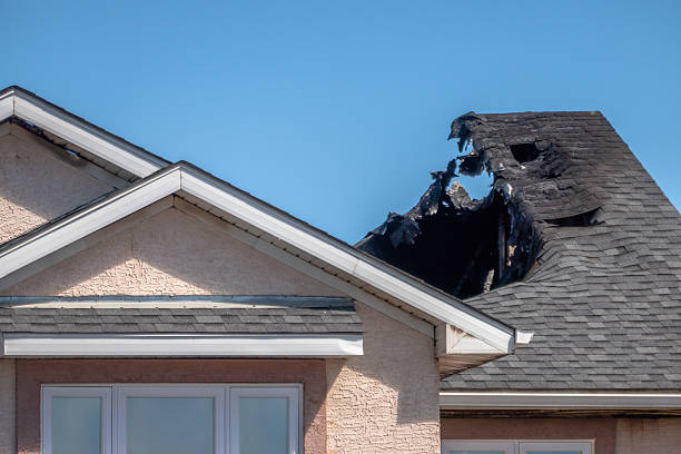 Top rated local Odor Removal specialists in The Colony, TX